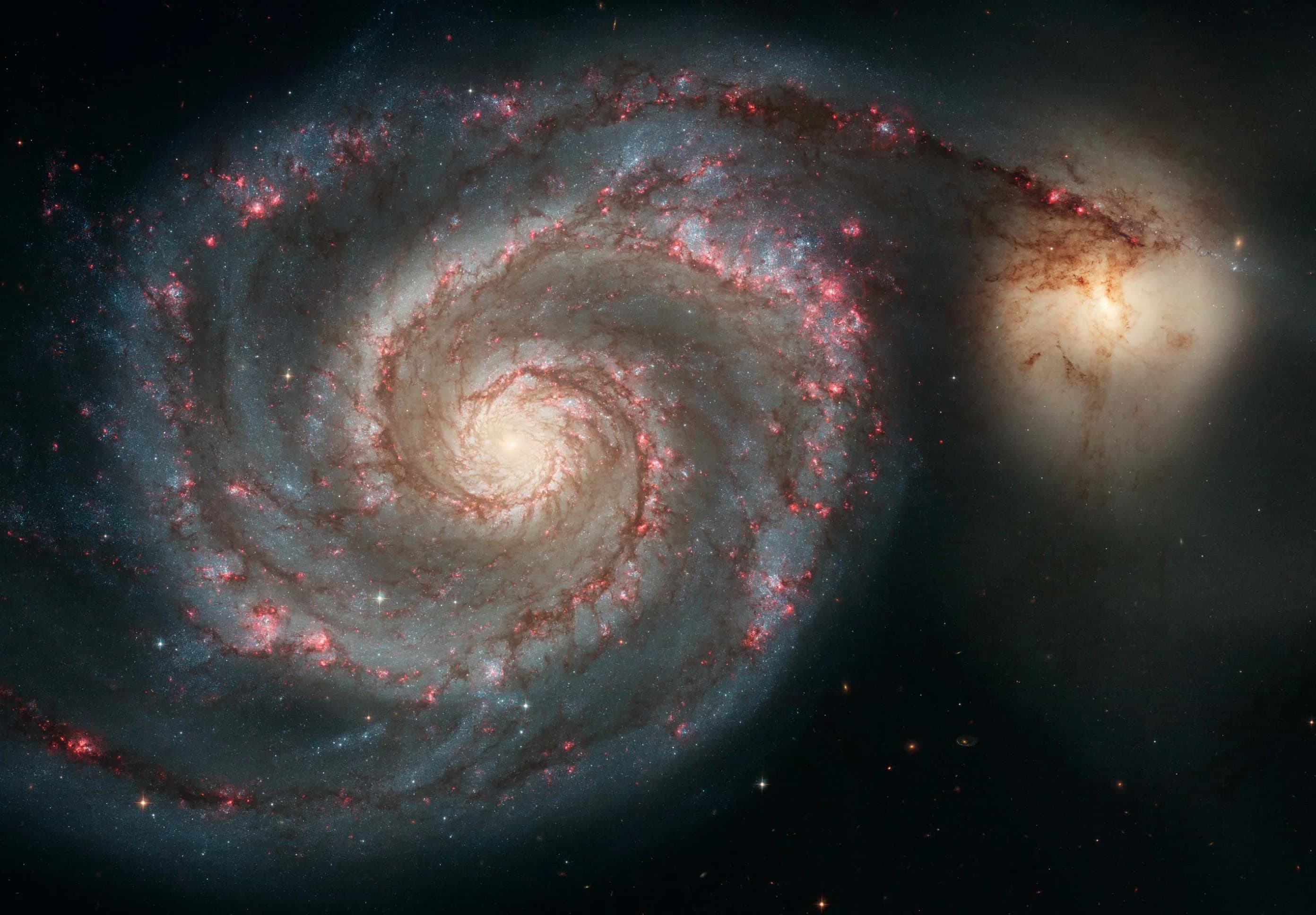M51 by Mara Voss