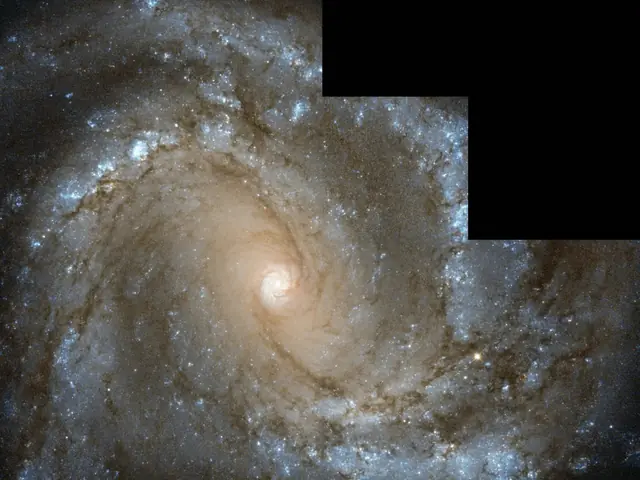 Spiral galaxy seen from above. Bright central core is white due to the light from so many stars, on the outer edge of the galaxy the arms spread out, with light blue and purple dust and gas, peppered with stars.