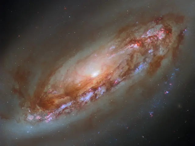 A spiral galaxy. It has a bright core with light spilling out. Its disk holds thick clumps of dark reddish dust, which swirls around the galaxy following its rotation. Brighter and hotter stars, shown in blue, speckle parts of the disk. A halo of faint gas wraps around the galaxy, extending beyond the edges of the image.